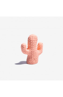 Cactus Shaped Squeaky Dog Toy