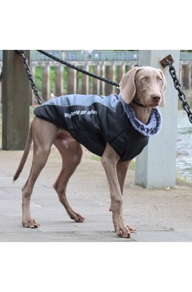 High Collar Warm Cool Dog Accessories Jacket Thickened Cool Dog Accessories Cotton Coat