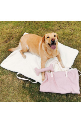Portable Dog Mat